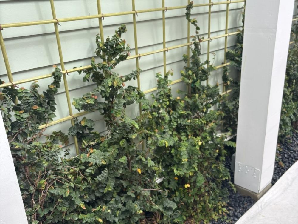 gatorbar agricultural slab 