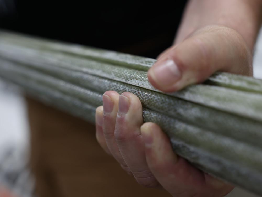 marine and waterfront 