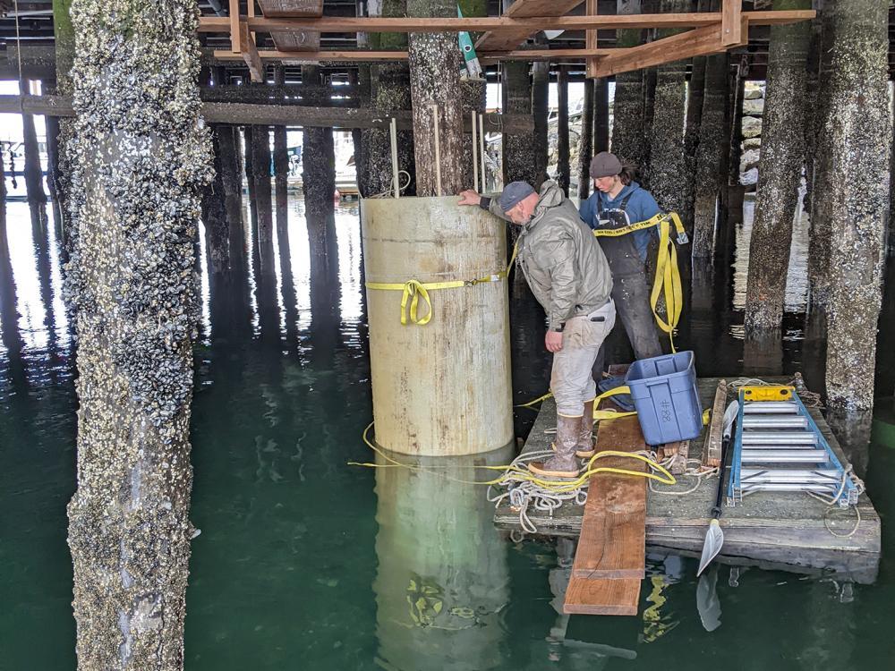 gatorbar in a bridge project 